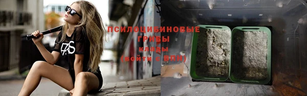 твердый Нефтегорск