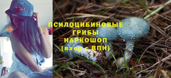 твердый Нефтегорск