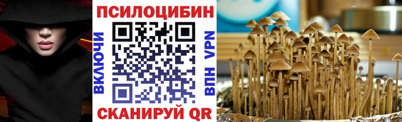 Галлюциногенные грибы Psilocybine cubensis  Соликамск 