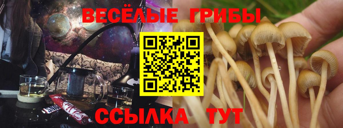 Галлюциногенные грибы MAGIC MUSHROOMS Соликамск